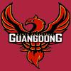 东莞新彤盛女篮logo